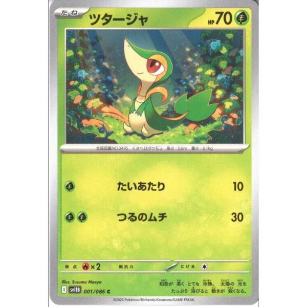 ツタージャ ホロカード HP70 ツタージャ ホロカード HP70