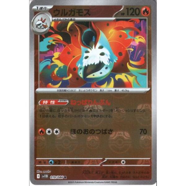 ウルガモス 【SV11B-019/086】【R/ミラー/マスターボール】_ : トレカ