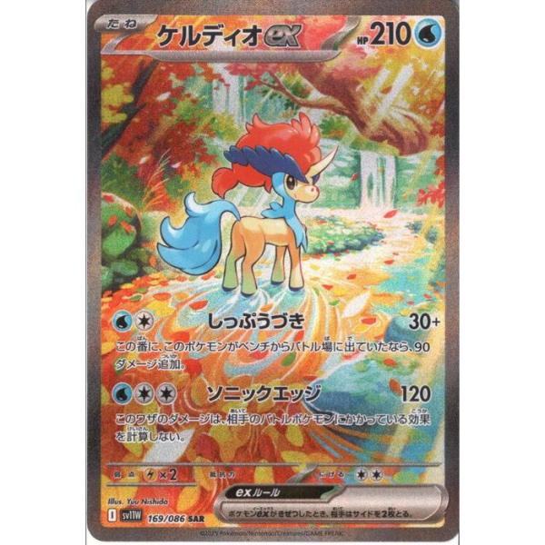 toretsubo-y_pn-020247