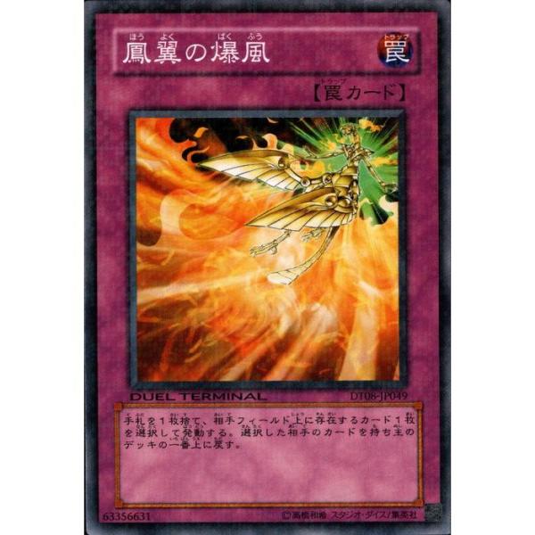 toretsubo-y_y-016263