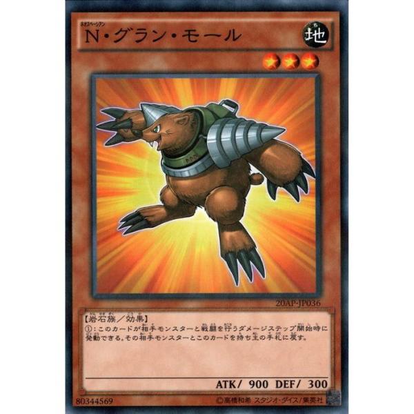 N・グラン・モール toretsubo-y_y-023691