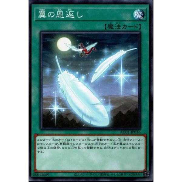 ツバサの恩返し