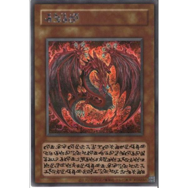 toretsubo-y_y-065493