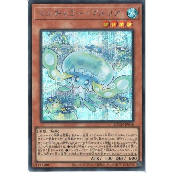 マルチャミー・プルリア 【LOCH-JP046】【SC】_