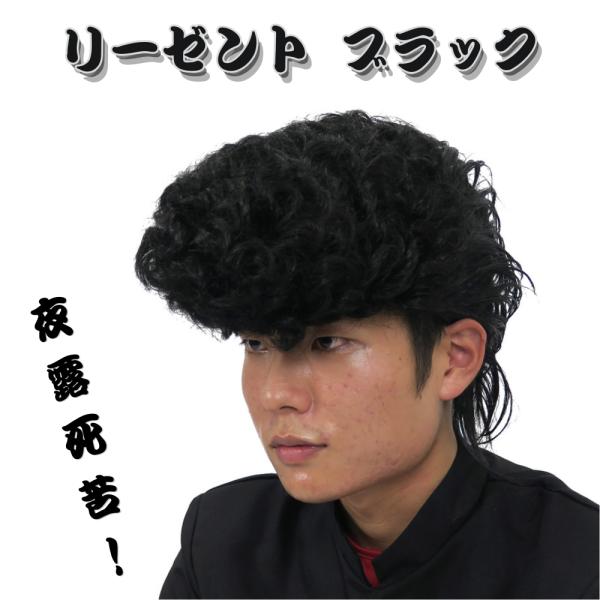 Patymo リーゼント 黒 ウィッグ かつら カツラ 仮装 コスプレ ヤンキー ハロウィン 変装グッズ パーティーグッズ フリーサイズ