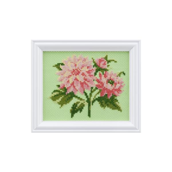 CosmoNXXeb`hJLbg 7627 y7 _Az RX VA Lecien t[(z)t