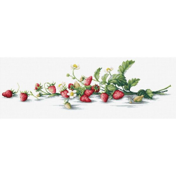 Luca-S NXXeb`hJLbg B2266 "Etude with Strawberries" (C`S̃G`[h) yCO/[40`80xz