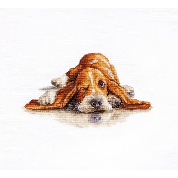 Luca-S NXXeb`hJLbg B2341 "Basset" (oZbg/) yCO/[40`80xz