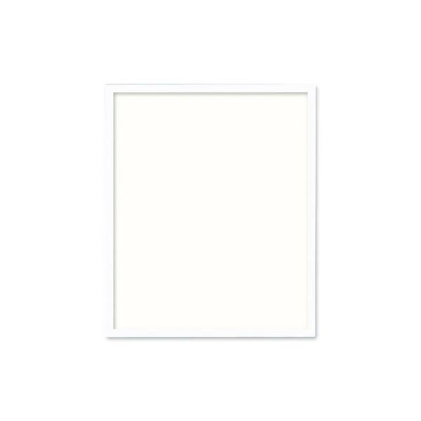 Olympus hJpؐz W-56  (zCg) IpX