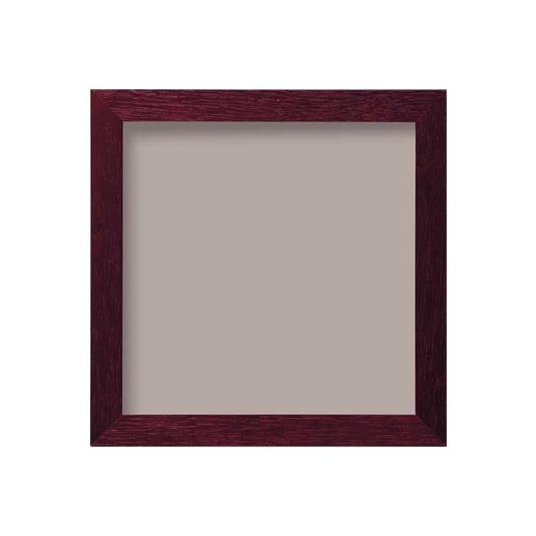 Olympus hJpؐz W-39 (uE) IpX