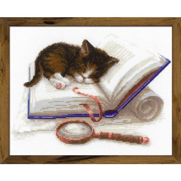 RIOLISNXXeb`hJLbg No.1725 "Kitten on the Book" ({̏̔L) yCO/[30`60xz
