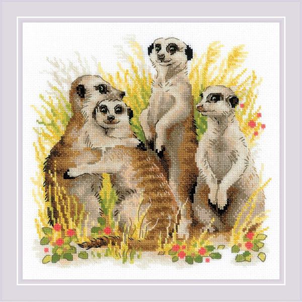 RIOLISNXXeb`hJLbg No.1761"Meerkats" (~[ALbg) yCO/[30`60xz