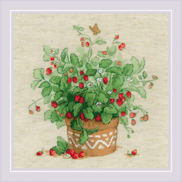 RIOLISNXXeb`hJLbg No.1984 "Strawberries in a Pot" (ÃC`S) yCO/[30`60xz