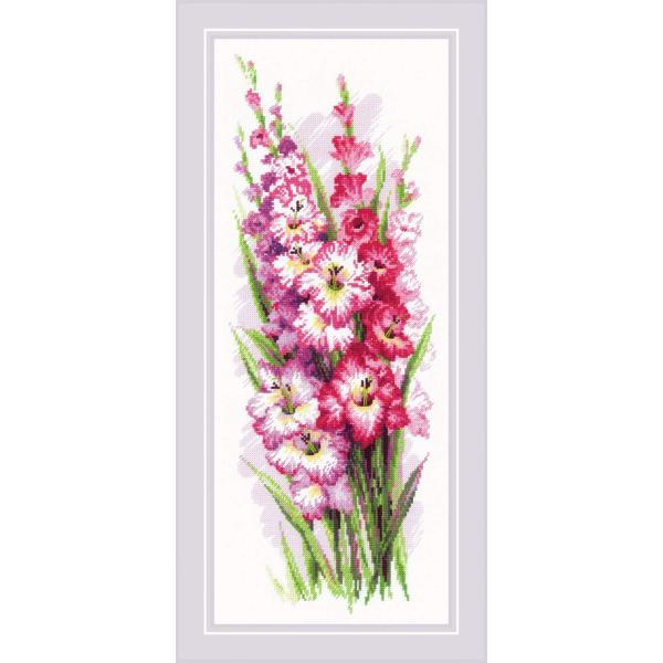 RIOLISNXXeb`hJLbg No.1994 "Charming Gladioli" (OWIX) yCO/[30`60xz
