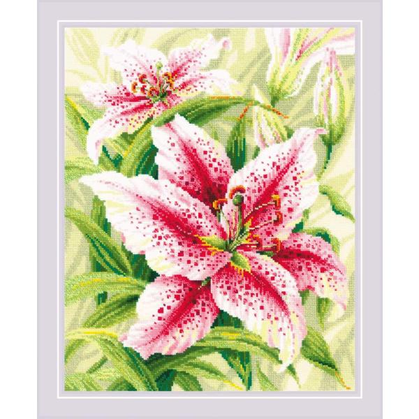 RIOLISNXXeb`hJLbg No.2000 "Lilies" ( S) yCO/[30`60xz