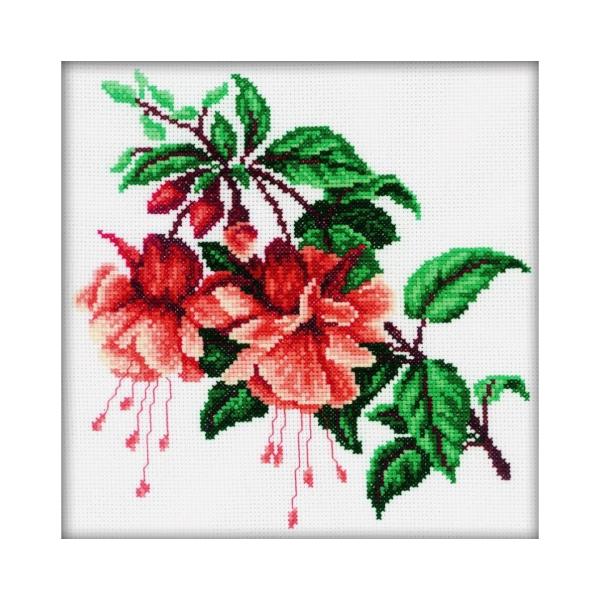 RTO NXXeb`hJLbg M144 "Fuchsia" (tNVA ) yCO/ʏ[40`80xz