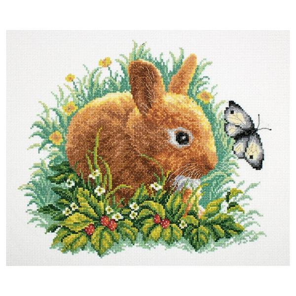 RTO NXXeb`hJLbg M323 "Rabbit and butter" (ETM) yCO/ʏ[40`80xz