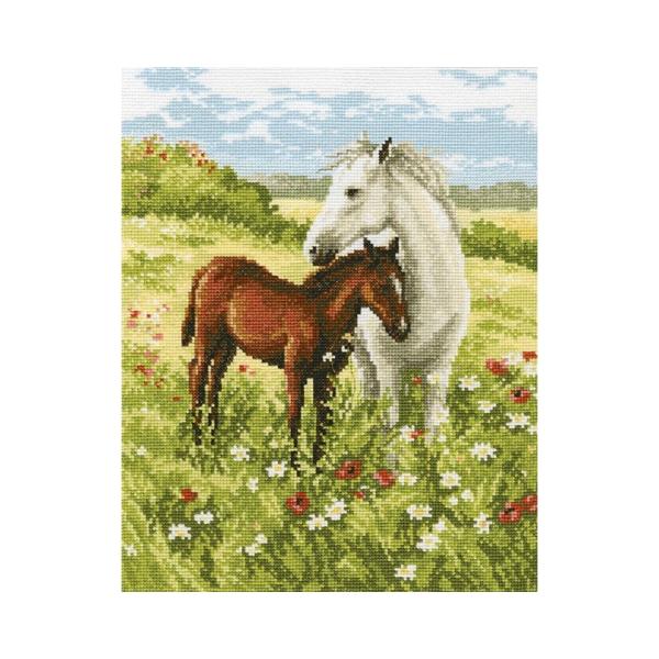 RTO NXXeb`hJLbg M326 "Tenderness" (D n) yCO/ʏ[40`80xz