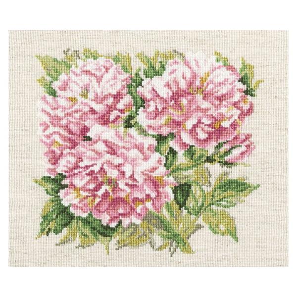 RTO NXXeb`hJLbg M374 "Shrub roses" (o ) yCO/ʏ[40`80xz