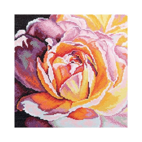 RTO NXXeb`hJLbg M432 "The secret" (閧 ) yCO/ʏ[40`80xz