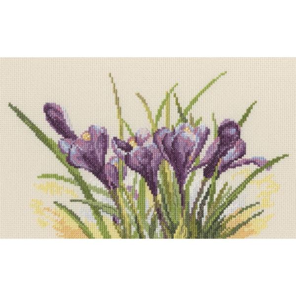 RTO NXXeb`hJLbg M584 "Spring crocuses" (t̃NbJX) yCO/ʏ[40`80xz