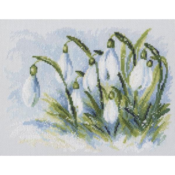 RTO NXXeb`hJLbg M585 "Early snowdrops" (Xm[hbv) yCO/ʏ[40`80xz