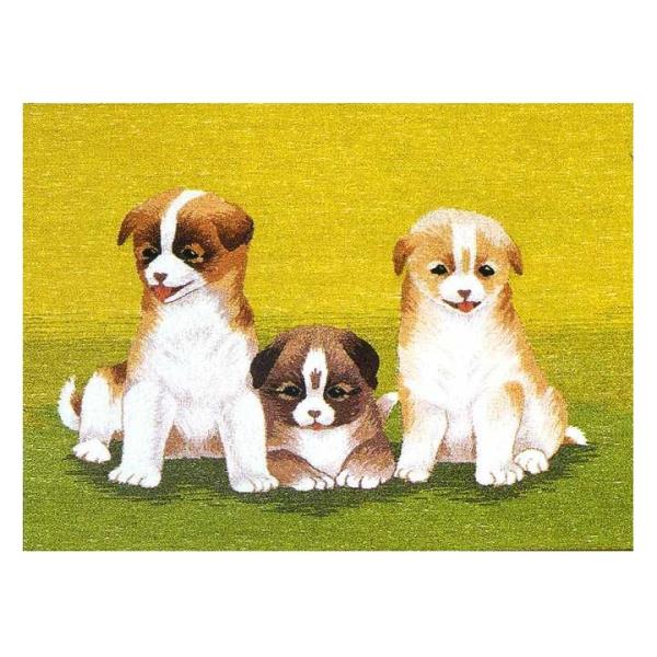 hJLbg BSK-105 "OC̎e" y3z yz