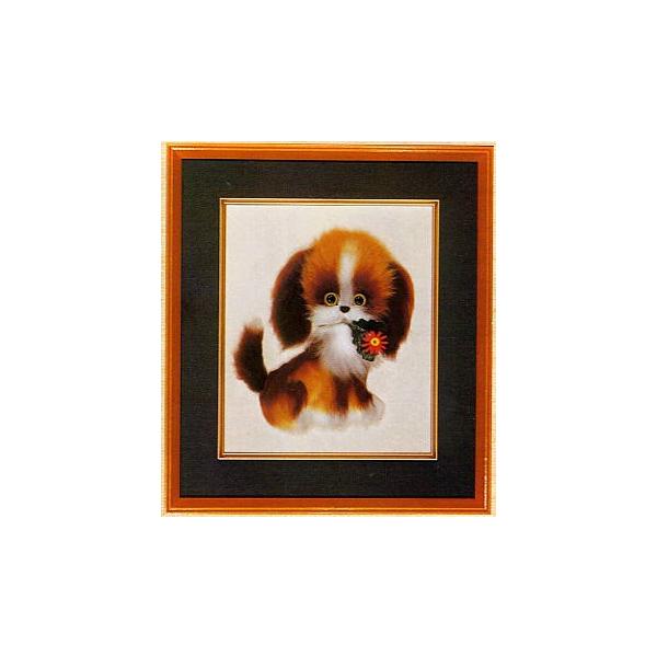 hJLbg BSK-428 "" y3z yz e q 