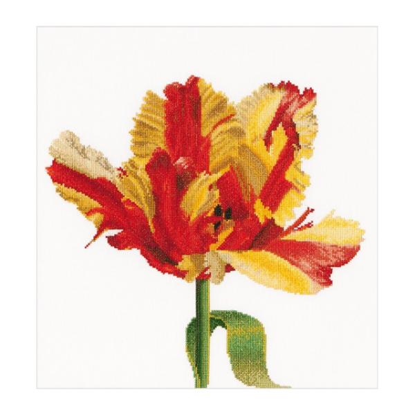 Thea Gouverneur NXXeb`hJLbgNo.519 "Red / Yellow Parrot tulip"(ԁEF̃pbg炫 `[bv ) I_ eAEO[Fk[