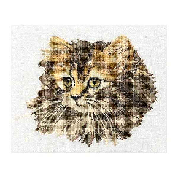 Thea Gouverneur NXXeb`hJLbg No.930 "Long-haired Cat Brown"(lR L) I_ eAEO[Fk[ y/[40`80xz