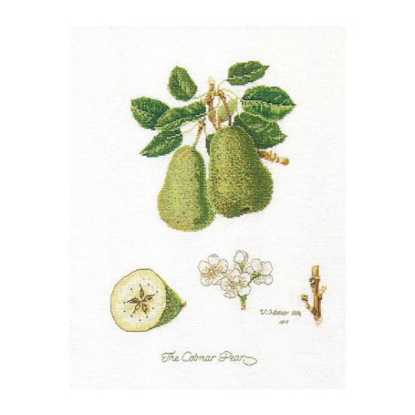 Thea Gouverneur NXXeb`hJLbgNo.2056 "Colnar Pears"(miV m ʕ) y/[40`80xz