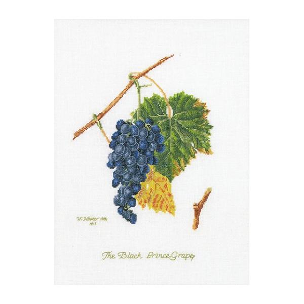 Thea Gouverneur NXXeb`hJLbgNo.2086 "Grapes"(uhE ʕ)  I_ eAEO[Fk[ y/[40`80xz