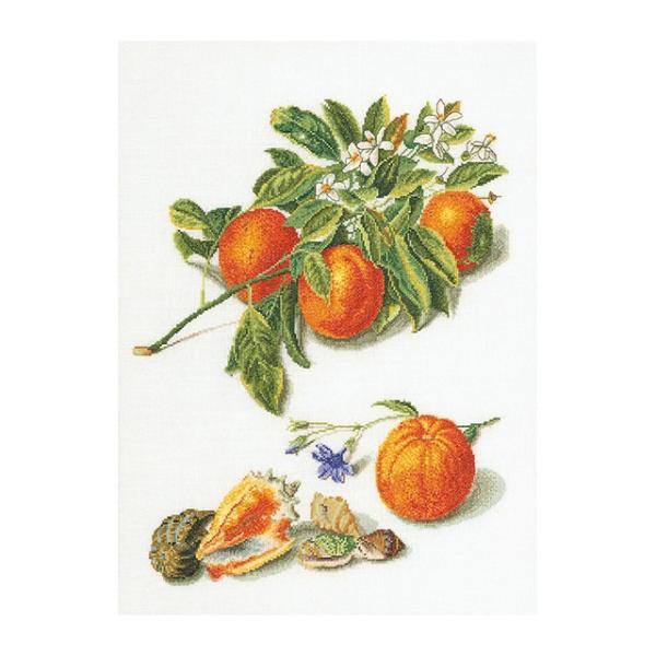 Thea Gouverneur NXXeb`hJLbgNo.3061 "Oranges &amp; Mandarins"(IWƃ}_ ʕ) y/[40`80xz