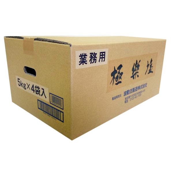 極楽塩5kg×4袋 業務用 波動法製造 天日塩 ミネラル 金粉入り アク抜き お清め 万能 ソルト メーカー直送