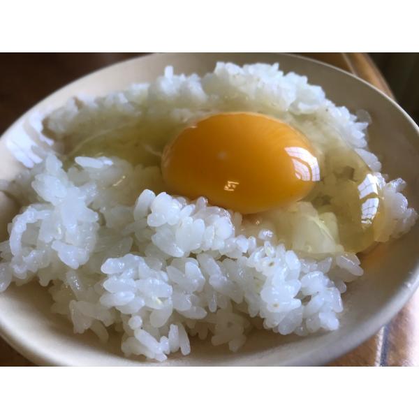 ※ヤマト運輸運賃値上のため、ゆうパックにて発送してます。四国のみヤマト運輸にて発送します。ヤマト運輸に変更をご希望の方はご要望欄に記載ください。送料の修正をさせてもらいヤマト運輸にて発送できます。生食される場合は賞味期限内にお召し上がりくだ...