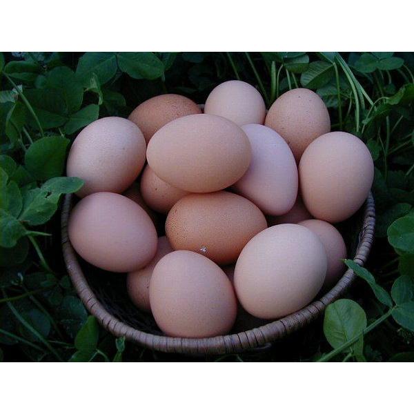 生食される場合は賞味期限内にお召し上がりください。賞味期限後は加熱してお召し上がりください。