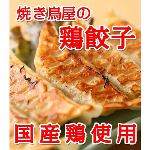 鳥餃子 焼き鳥屋のこだわり鶏餃子 1パック(約500g 1個約28g)約18個〜19個 大ぶりの餃子になります