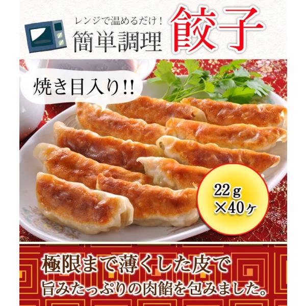 �L�q �Ă��ړ��� 880g 22g×40�� �����W�Ń`��