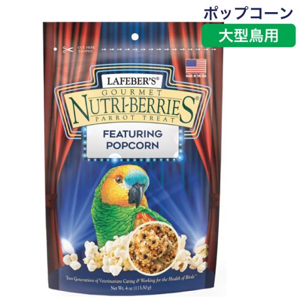 レビュー高評価の商品! ズプリーム ZuPreem ナッツブレンドMLサイズ 中型インコ 大型インコ用 パロット コニュア 1.5キログラム x 2023 10 31のため20%オフ ズプリーム (ZuPreem) パスタブレンド ML パロット・コニュア 1.4kg