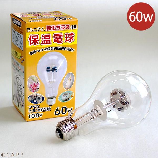 Cap 鳥用ヒーター アサヒ 旭光電機 保温電球 60w Asahi60w コンパニオンバード専門店cap 通販 Yahoo ショッピング