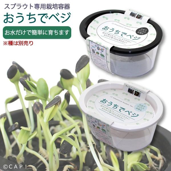 Cap 鳥 Gfp おうちでベジ スプラウト専用栽培容器 容器のみ B052 コンパニオンバード専門店cap 通販 Yahoo ショッピング