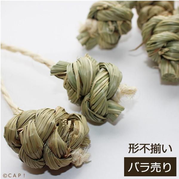 Cap 鳥のおもちゃ 栽培時農薬不使用 あめちゃん系 単品 １個 かじりーず