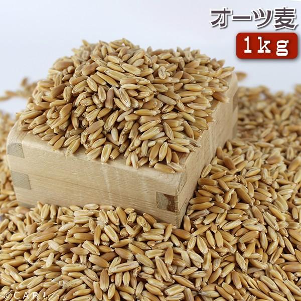 Cap 鳥の餌 賞味期限24 4 30オーツ麦 1kg Noats10 コンパニオンバード専門店cap 通販 Yahoo ショッピング