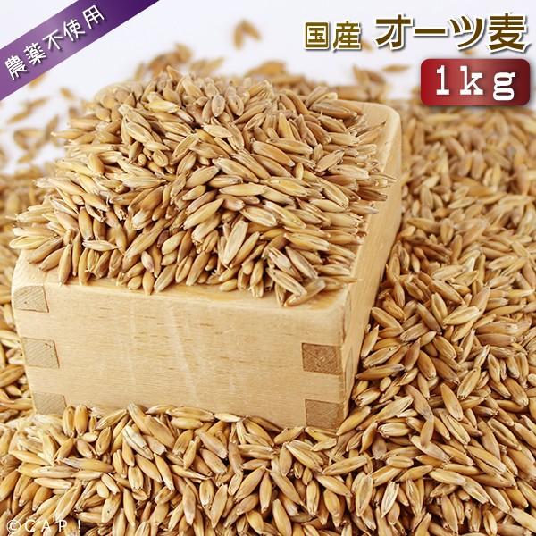 Cap 鳥の餌 国内産 オーツ麦 1kg Oats1k コンパニオンバード専門店cap 通販 Yahoo ショッピング