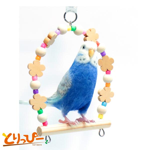 torippie_2012000001268