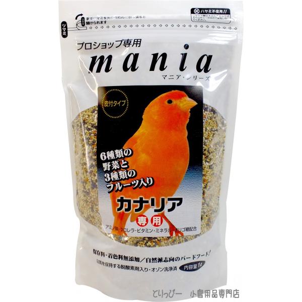 vVbvp mania(}jA) JiAp 1L ybgt[h@JiAp