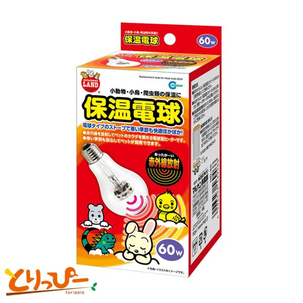 }J ۉd Jo[Ȃ 60W(HD-60)qREۉ