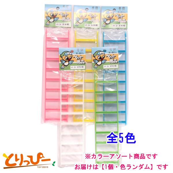訳あり品パッケージが通常と異なりますが中身は同一ですインコ用おもちゃ　プラスチック製のハシゴです天井からぶら下げたり、とまり木を渡したりと色々なレイアウトで運動不足解消に文鳥やセキセイインコ、コザクラインコなどのフィンチ類、小型インコ類にオ...