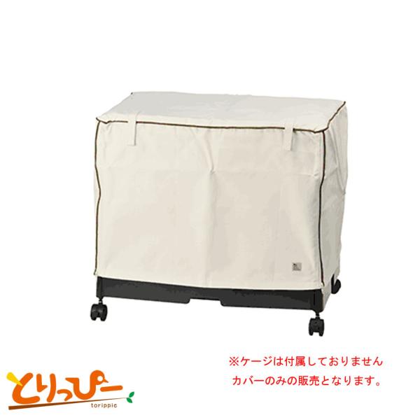 C[W[z[60p P[WJo[ 60@499@pP[WJo[