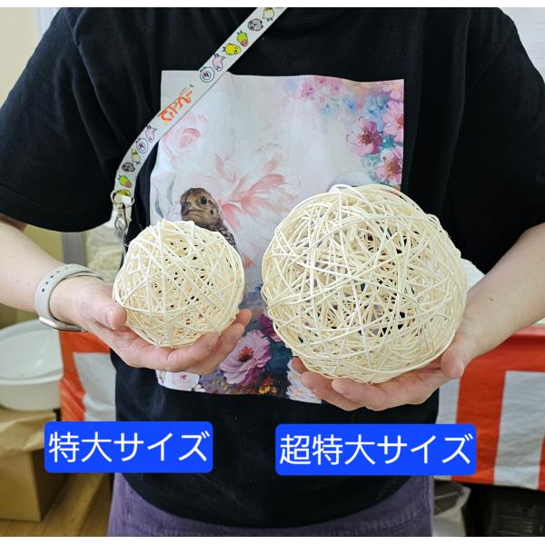 小鳥たちが大好きなおもちゃの定番！100％天然の籐（とう）を使って手作りしたラタンボール/マンチボールかじって、ころがして、ほどいて、破壊して・・・インコたちも夢中になって遊ぶ安心おもちゃ隙間におやつを挟み込んで簡単フォージングも！※ご注意...